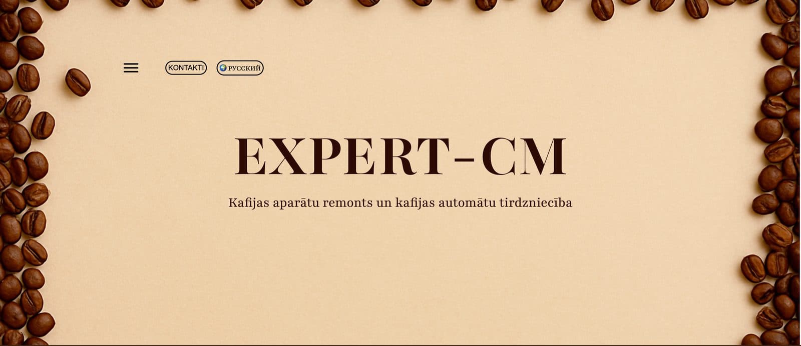 Expert CM website preview